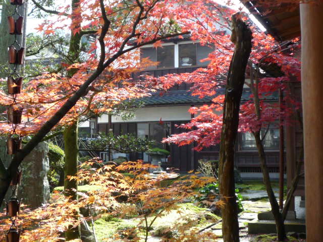 茶室からの紅葉