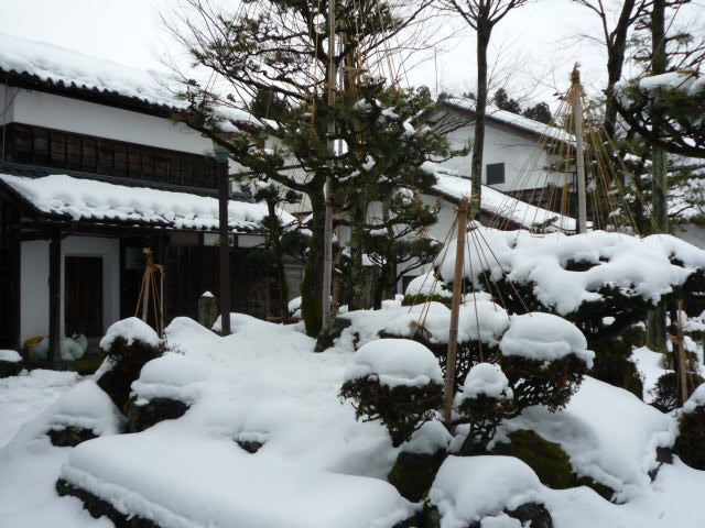 雪景色　松