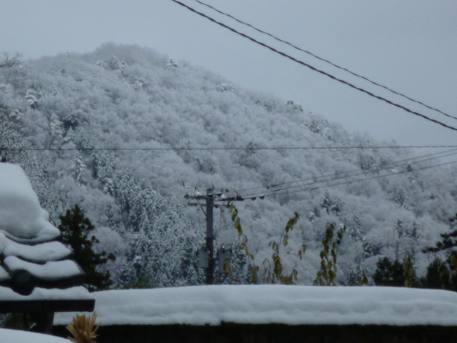 雪景色